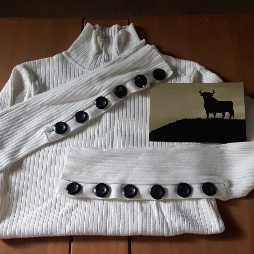 Zara Knit Sweater